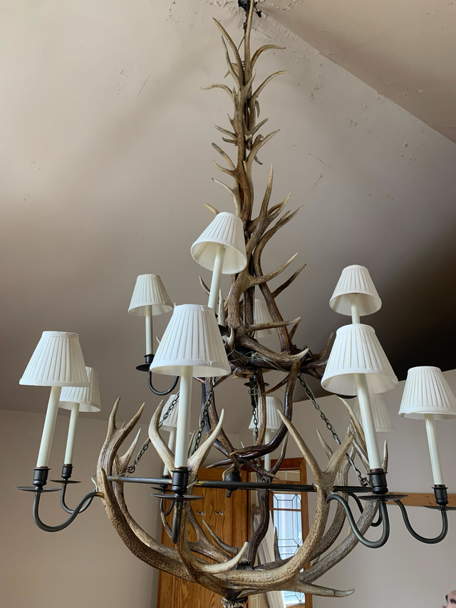 Ceiling Lights - Architectural Salvage - Hudson Valley House Parts